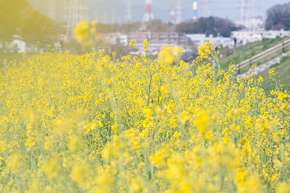 患者さんへのお願い