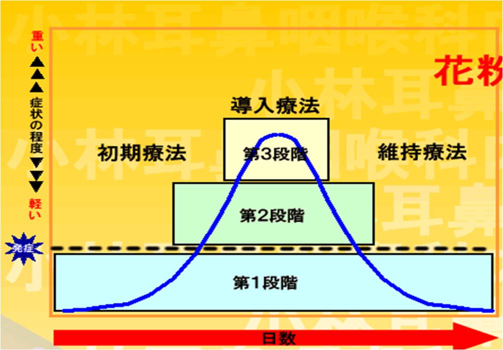 スギ花粉症の治療の基本は薬物療法です。