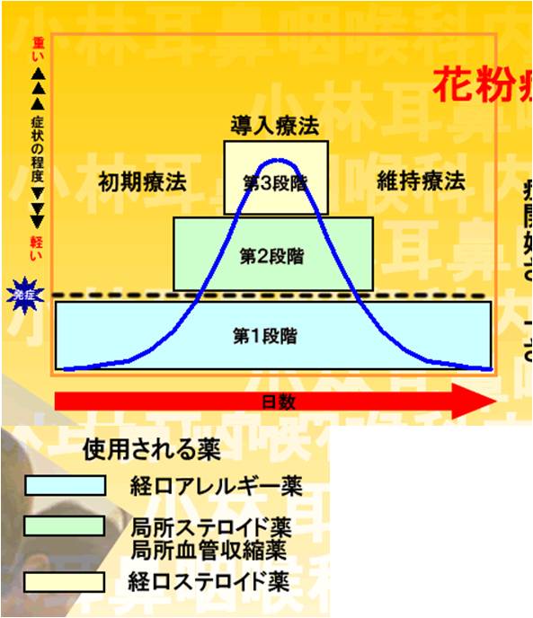 スギ花粉症の治療の基本は薬物療法です。