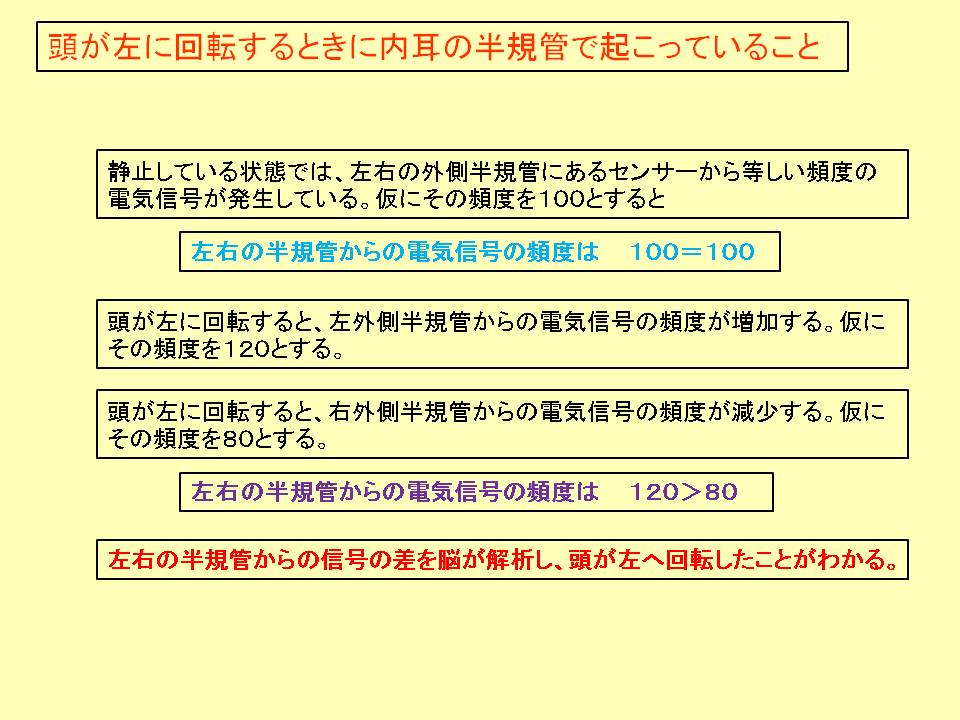 左右の半規管からの電気信号の差を脳が解析し、頭が回転したことがわかる