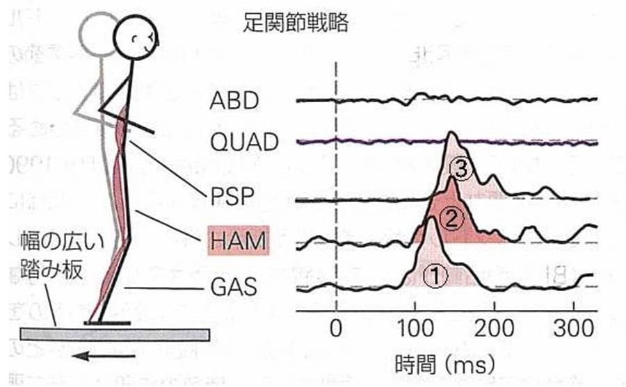 足関節戦略